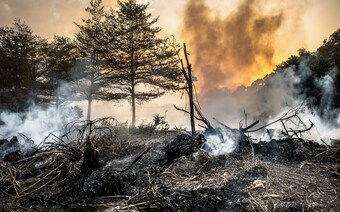 Оценка ущерба после стихийного бедствия в Кирове: отчет оценщика